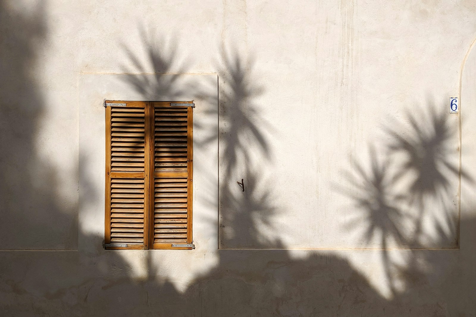 Volets en bois et ombres de palmes sur une façade ivoire
